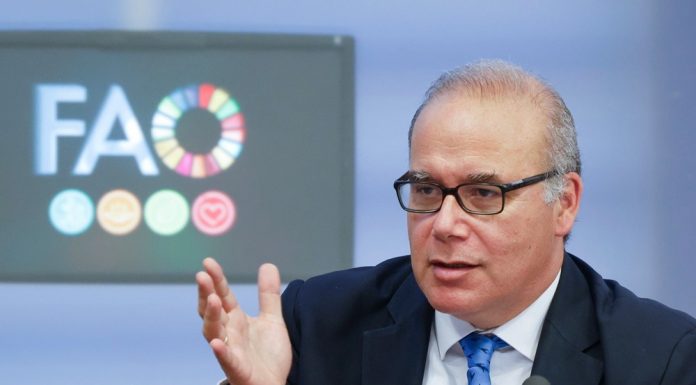 FAO: capo economista invita alla cooperazione globale sulla sicurezza alimentare