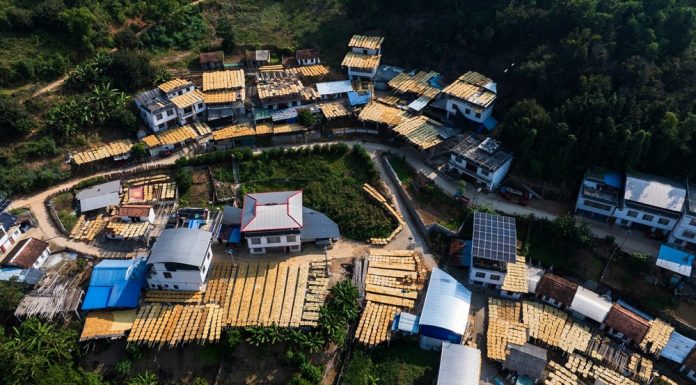 Cina: raccolto autunnale in corso in tutto il Paese (5)