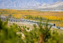 Cina: Xizang, preparativi per l’irrigazione invernale nelle aree rimboschite (1)