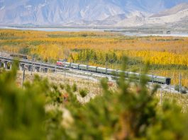 Cina: Xizang, preparativi per l’irrigazione invernale nelle aree rimboschite (1)
