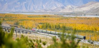 Cina: Xizang, preparativi per l’irrigazione invernale nelle aree rimboschite (1)