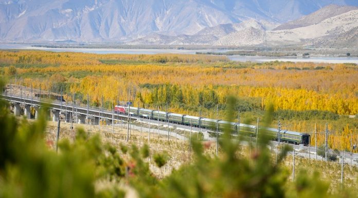Cina: Xizang, preparativi per l’irrigazione invernale nelle aree rimboschite (1)