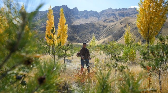 Cina: Xizang, preparativi per l’irrigazione invernale nelle aree rimboschite (2)