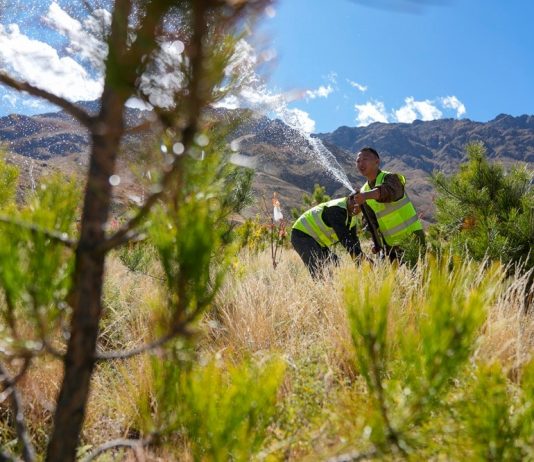 Cina: Xizang, preparativi per l’irrigazione invernale nelle aree rimboschite (3)