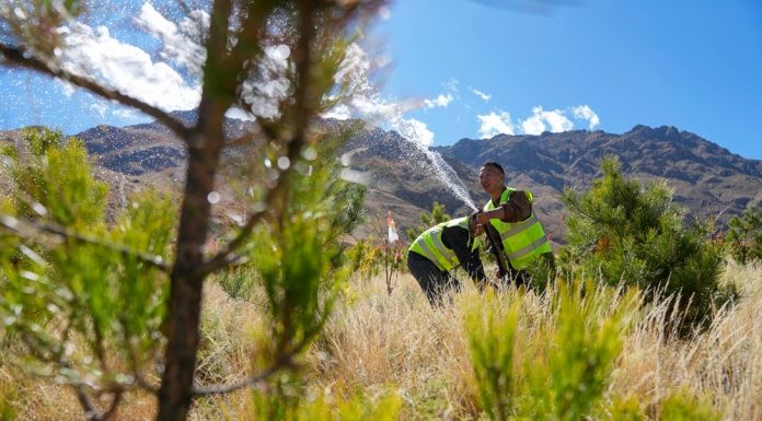 Cina: Xizang, preparativi per l’irrigazione invernale nelle aree rimboschite (3)
