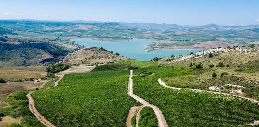 Al via in tutta Italia la Giornata del Paesaggio Vitivinicolo