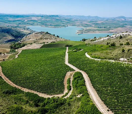 Al via in tutta Italia la Giornata del Paesaggio Vitivinicolo