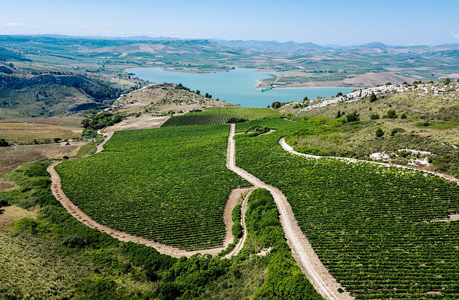 Al via in tutta Italia la Giornata del Paesaggio Vitivinicolo