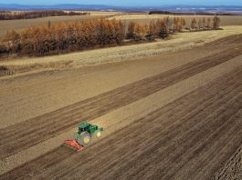 Cina: nello Heilongjiang si preparano i terreni per le prossime semine (1)