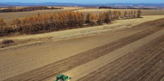 Cina: nello Heilongjiang si preparano i terreni per le prossime semine (1)