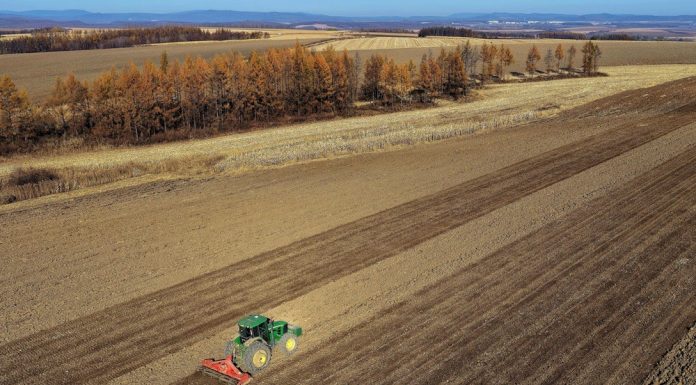Cina: nello Heilongjiang si preparano i terreni per le prossime semine (1)