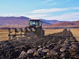 Cina: nello Heilongjiang si preparano i terreni per le prossime semine (2)