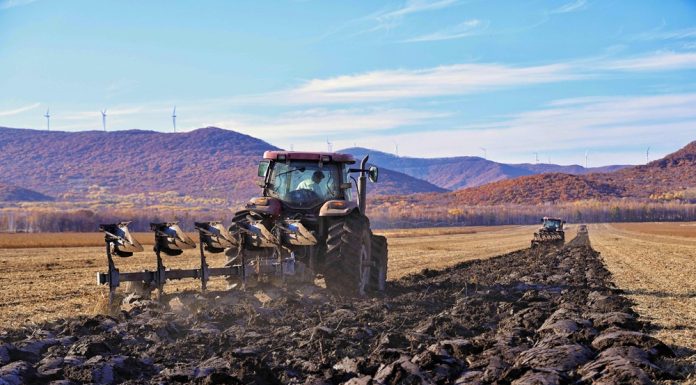 Cina: nello Heilongjiang si preparano i terreni per le prossime semine (2)