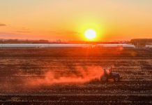 Cina: nello Heilongjiang si preparano i terreni per le prossime semine (3)