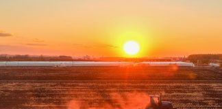 Cina: nello Heilongjiang si preparano i terreni per le prossime semine (3)