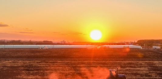 Cina: nello Heilongjiang si preparano i terreni per le prossime semine (3)