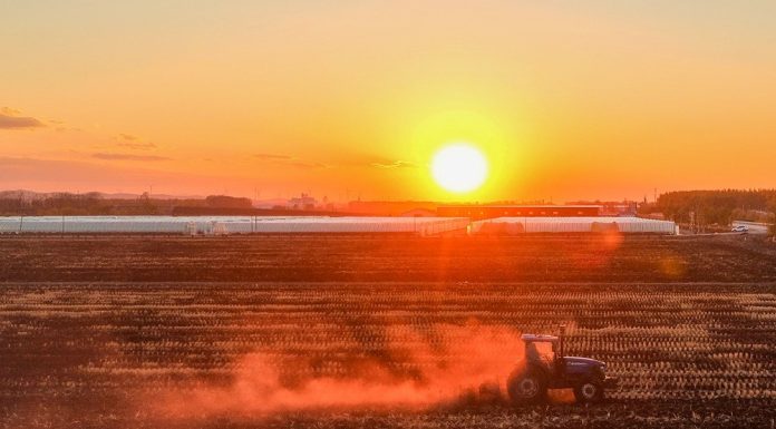 Cina: nello Heilongjiang si preparano i terreni per le prossime semine (3)