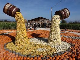 A Treviso la settima edizione del Villaggio delle zucche (3)