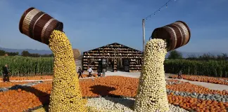 A Treviso la settima edizione del Villaggio delle zucche (3)