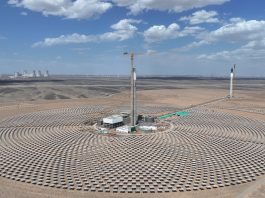 Cina compie progressi chiave nell’azione per il clima e delinea percorso verde