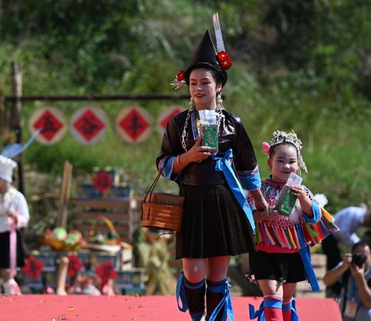 Cina: nel Guangxi si celebra il raccolto del riso glutinoso (3)
