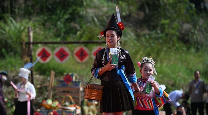 Cina: nel Guangxi si celebra il raccolto del riso glutinoso (3)