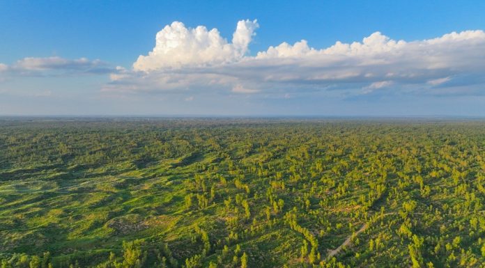 Cina: dal deserto di Mu Us al mondo, la storia della “guerriera della sabbia”