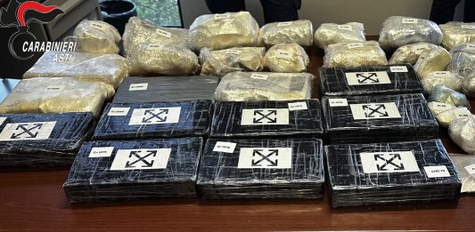 Blitz antidroga ad Asti, scoperta una piantagione con 1200 piante / Video