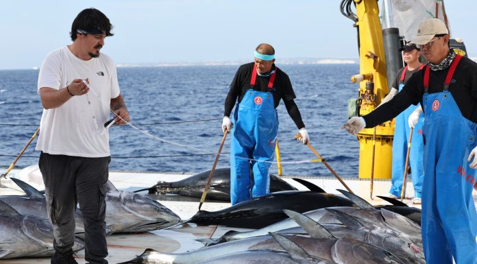 Malta: ministro, cooperazione con Cina nel settore ittico porta benefici a tutti