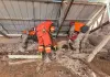 Cina: soccorsi e assistenza nei villaggi colpiti dal sisma nello Xizang (2)