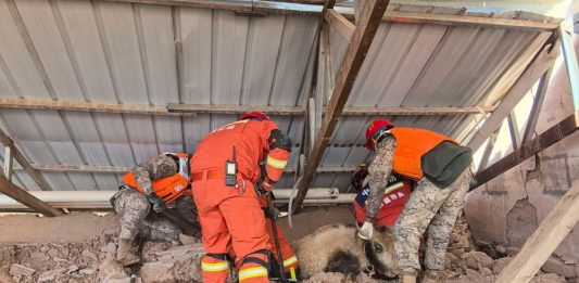 Cina: soccorsi e assistenza nei villaggi colpiti dal sisma nello Xizang (2)