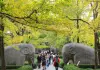 Cina: crescita costante del turismo interno nei primi nove mesi del 2026
