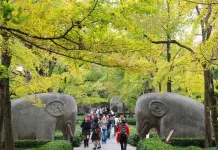 Cina: crescita costante del turismo interno nei primi nove mesi del 2026