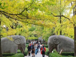 Cina: crescita costante del turismo interno nei primi nove mesi del 2026