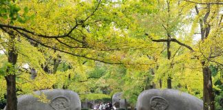 Cina: crescita costante del turismo interno nei primi nove mesi del 2026