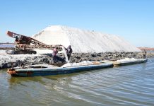 Cina: Hebei, in corso la raccolta autunnale nelle saline di Nanpu (1)