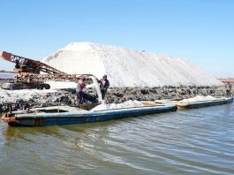 Cina: Hebei, in corso la raccolta autunnale nelle saline di Nanpu (1)