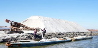 Cina: Hebei, in corso la raccolta autunnale nelle saline di Nanpu (1)