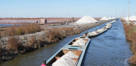 Cina: Hebei, in corso la raccolta autunnale nelle saline di Nanpu (2)