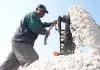 Cina: Hebei, in corso la raccolta autunnale nelle saline di Nanpu (3)