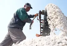 Cina: Hebei, in corso la raccolta autunnale nelle saline di Nanpu (3)