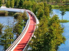 Cina: Rudong migliora ambiente acquatico e riqualifica aree lungo i fiumi (1)