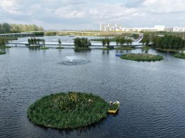 Cina: Rudong migliora ambiente acquatico e riqualifica aree lungo i fiumi (2)