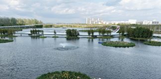 Cina: Rudong migliora ambiente acquatico e riqualifica aree lungo i fiumi (2)
