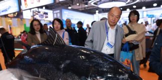 Cina: al via a Qingdao la 29esima Fisheries & Seafood Expo (3)