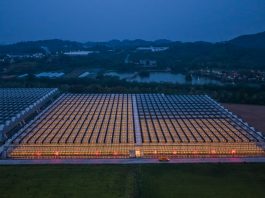 Cina: Zhejiang, agricoltura intelligente in un parco industriale a Jinhua (2)