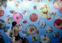 Cina: al via a Sanmenxia 16esimo Festival cinese della fotografia (1)