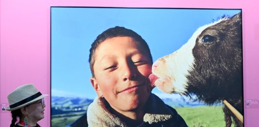 Cina: al via a Sanmenxia 16esimo Festival cinese della fotografia (2)