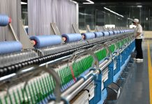 Cina: capitale del cashmere Qinghe esporta in oltre 30 Paesi e regioni (2)
