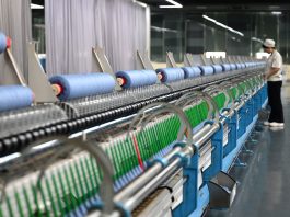 Cina: capitale del cashmere Qinghe esporta in oltre 30 Paesi e regioni (2)